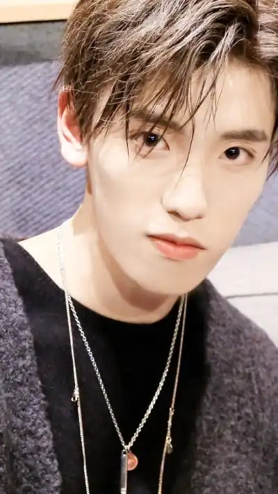 青春的花路 王子异