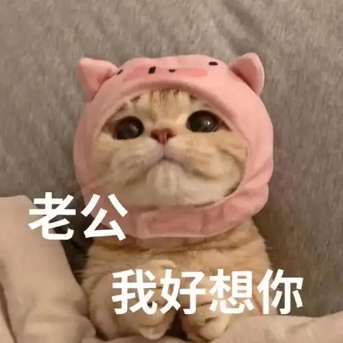 发给老公的表情包36