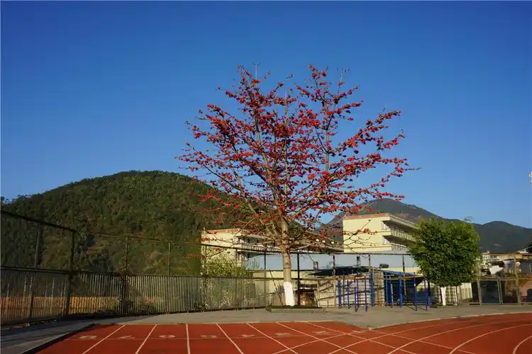 四川省盐边县渔门中学