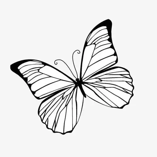 手绘蝴蝶
