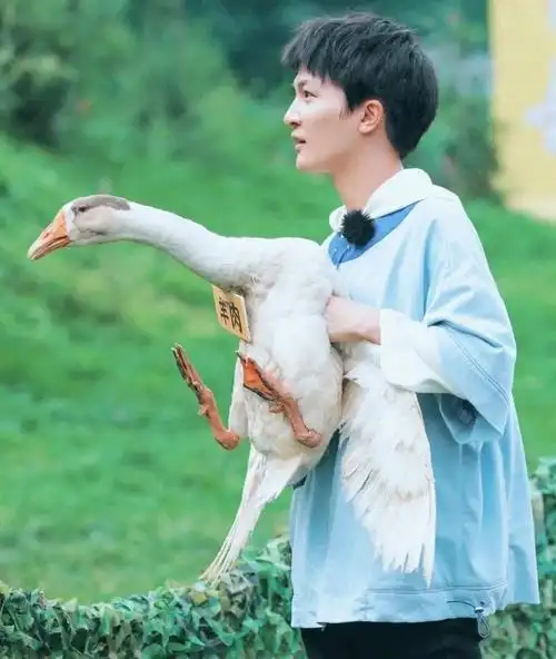 贝加尔湖畔周深李维中国好声音版