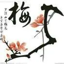 梅花头像