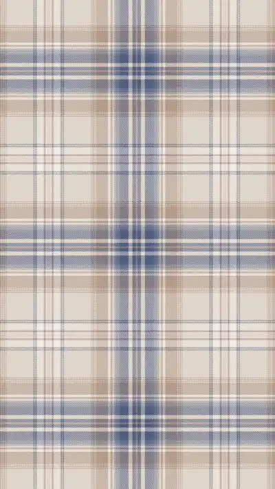 jk格子风背景图