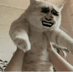 金馆长gif猫咪gif搞笑gif逗比gif