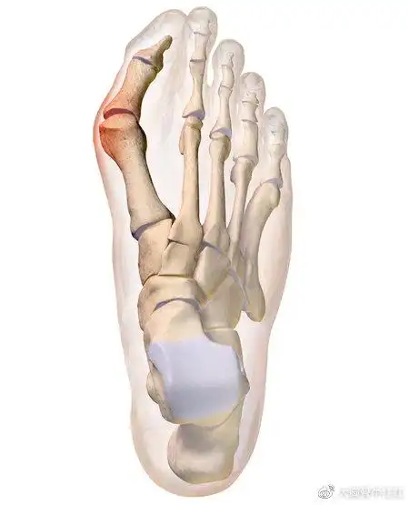 手术,但手术费用与患者的病情,选择的治疗方法,医院等级有很大关系