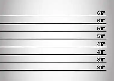 在白色背景上的网络设计网络安全图标集,简约风格243屏蔽防火墙图标