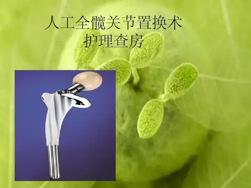 人工全髋关节置换术ppt课件