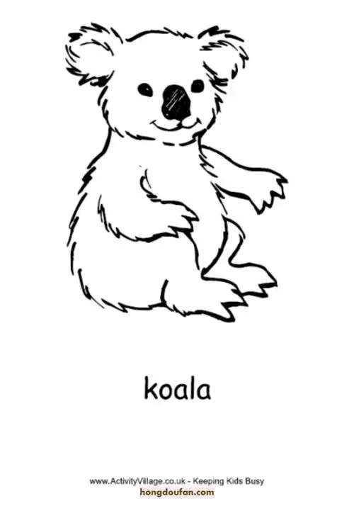 11张懒洋洋的可爱澳大利亚考拉着色图片免费下载-红豆饭小学生简笔画