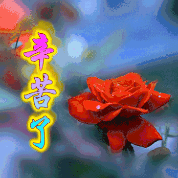 拥有雅安中老年专属表情包从此家庭和睦再也没有代沟