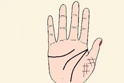 金星丘有井字纹的手相分析,性情温顺家庭运好?