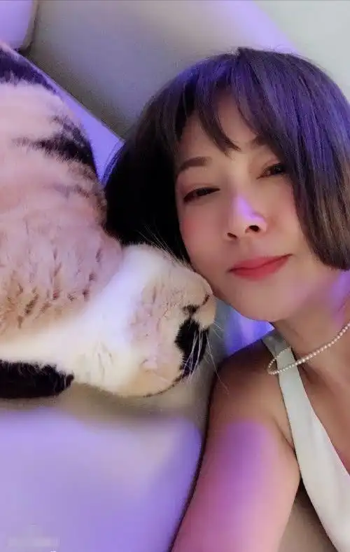 张茜打扮得清新靓丽显年轻,西装革履很有女强人的风范,尽管与张卫健