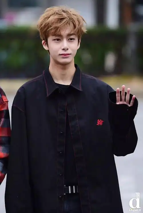 d 韩娱|"混血儿?是韩国人啊!".男爱豆的异国风情视觉