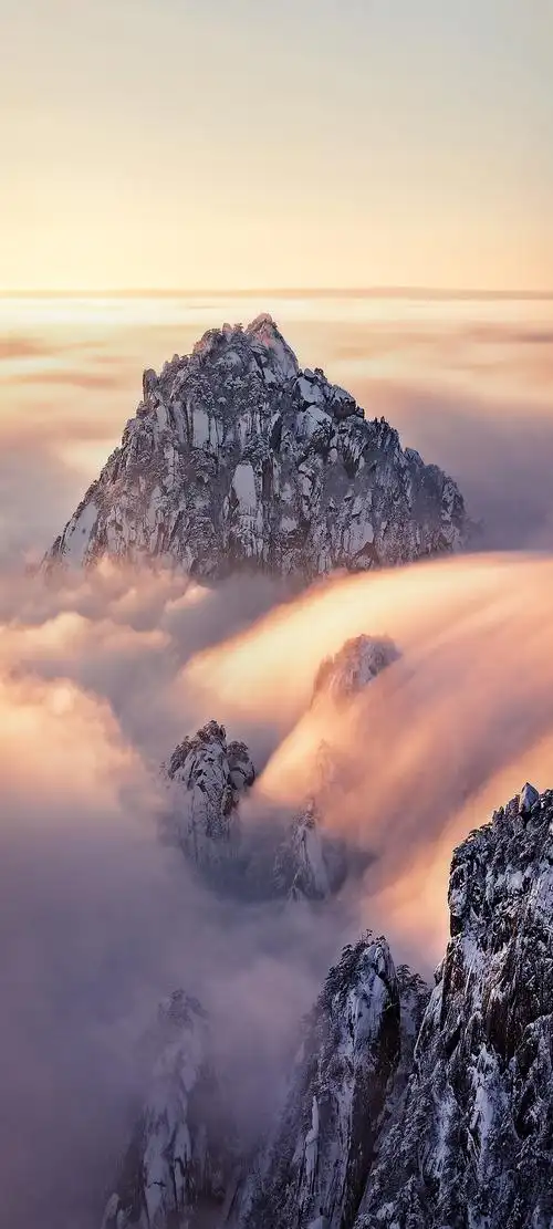 屏l英雄联盟鬼刀不知火舞不良人极简主义2340x1080余颖欣周杰伦林晚儿