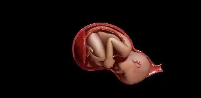 孕晚期胎儿入盆时孕妈肚子会发生变化准妈妈不要太多虑哦