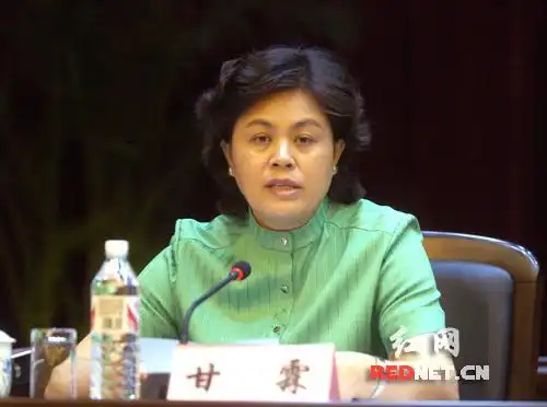 (湖南省副省长甘霖作工作报告.