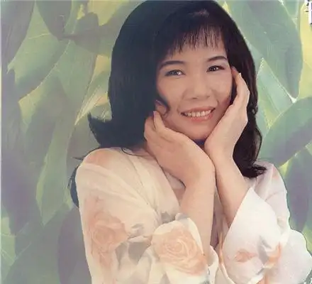 图冬恋韩宝仪歌词鉴赏你还记得当年那个女神吗