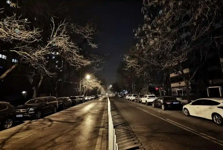 往日喧闹的街道,大年初一的傍晚是寂静的.