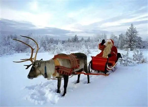 圣诞老人的驯鹿圣诞老人的驯鹿象征圣洁