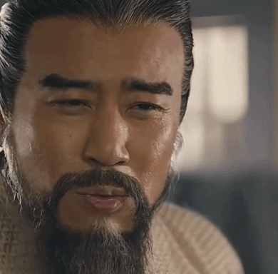 曹操大军师司马懿之军师联盟电视剧gif动图_动态图_表情包下载_soogif