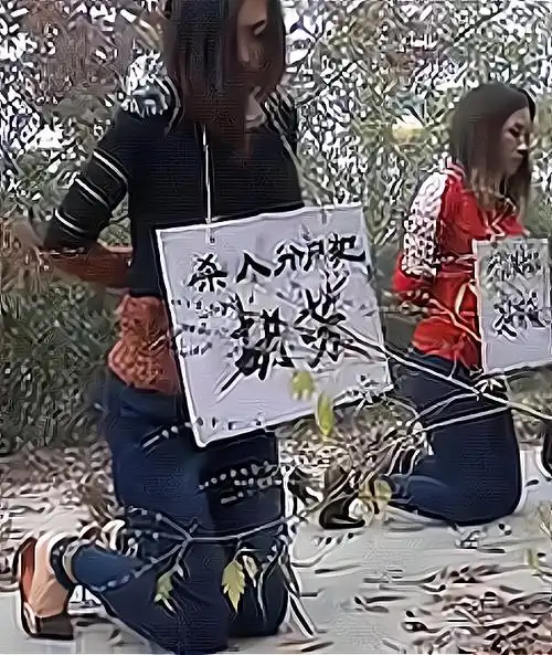 胡芳伏法刘军的家人多次联系不上他,便向警方报警,警方搜寻过程中发现