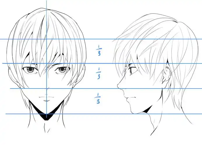 了解面部参考线的重要性 人的五官是按照一定比例和结构安放在面部的