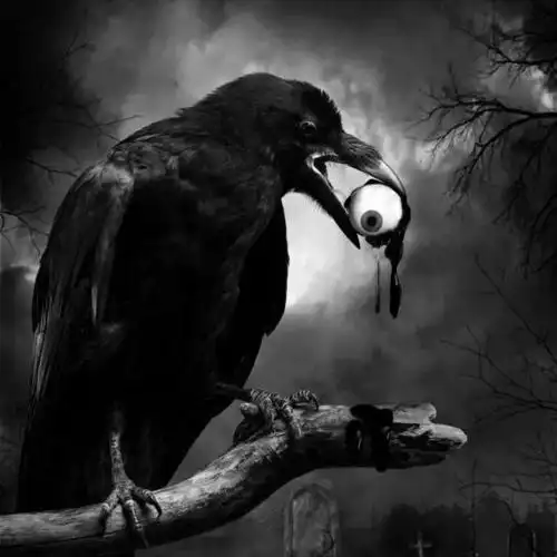 用鱼的视角看人间, 人类如同地狱恶鬼, 一部震碎三观的动画猛片