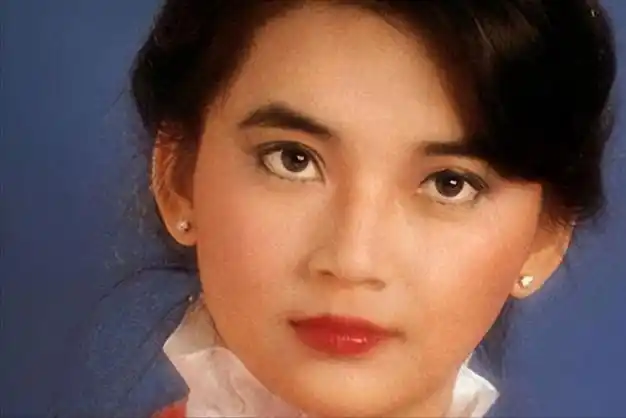 林青霞那时已去香港拍片转型,胡慧中也选择了和她相似的道路.