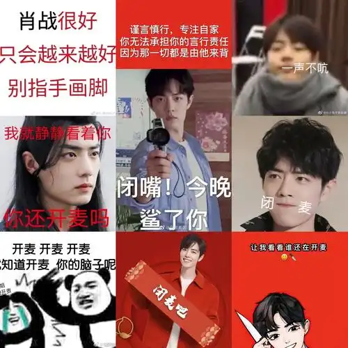 闭麦!闭麦!早点睡觉,乖乖做数据. 肖战不糊肖战不糊肖战不可能糊!