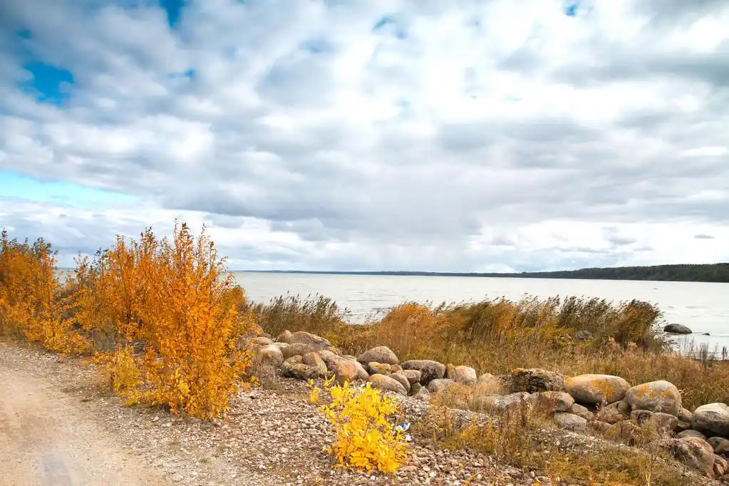 秋天在海边,波罗的海芬兰湾在秋天