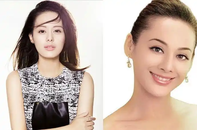 王力可撞脸宁静对比照