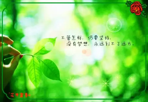 清新护眼绿色植物意境图片带来生机的绿色