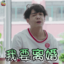 摊牌准备离婚知道了这件事后,有记者向张莉打去电话表明了采访的目的