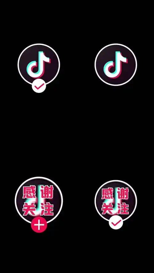 凌点网搜索到28个与抖音关注效果相关的视频素材作品精品高清抖音关注