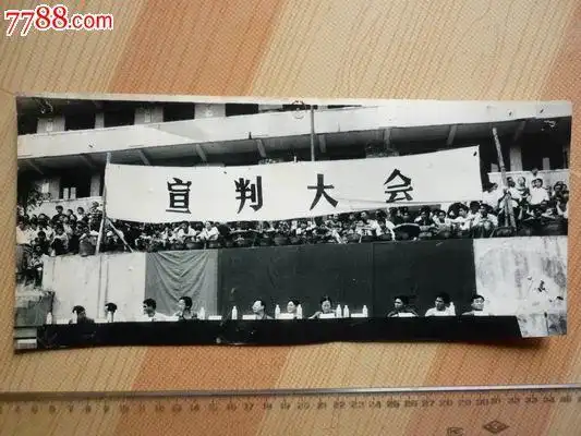 宣判大会,老照片-->其他照片,老照片,其他老照片,年代不祥,黑白,10寸
