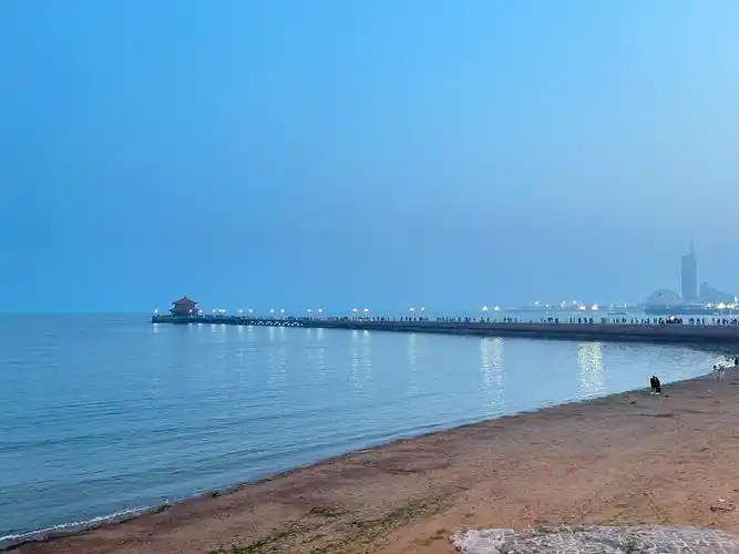 青岛栈桥拍照大爷被要求停止营业海鸥回来了青岛栈桥拍照大爷消失了