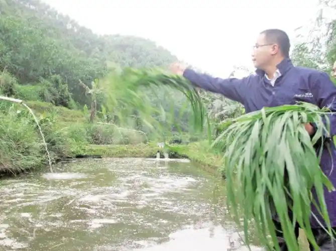 2008年广西一败家子养鱼败光百万家产4年后7天赚回130万