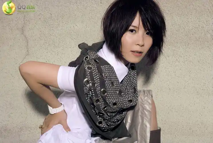 黄雅莉雅莉不怕qq音乐