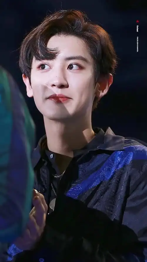 手机高清壁纸 ‖ 男神-朴灿烈