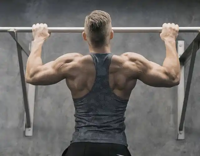想要练出强壮的背部,先了解背部的肌肉,从简单的动作开始锻炼
