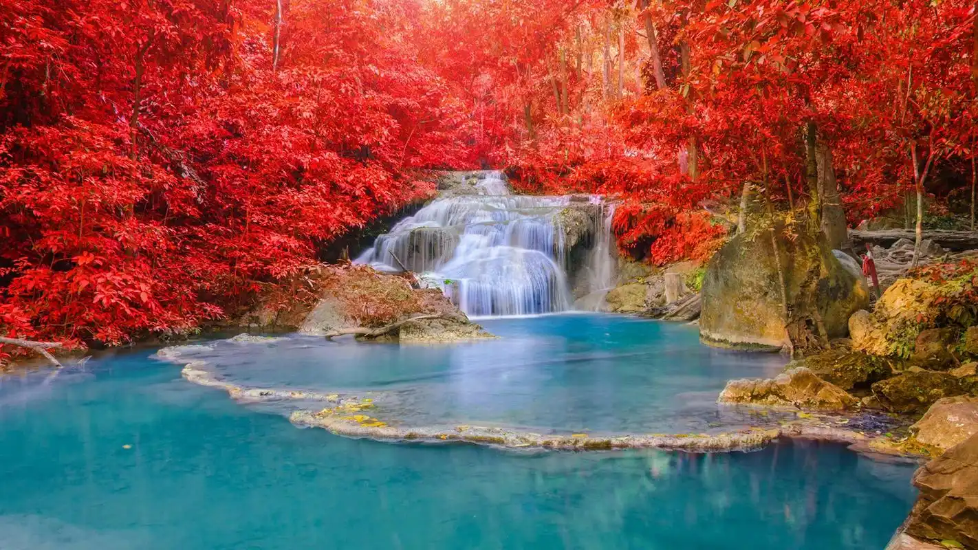 亮丽清新的自然美景图片高清宽屏桌面壁纸高清大图预览1920x1080_风景