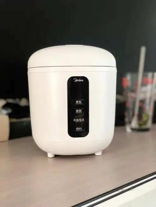 迷你电饭煲