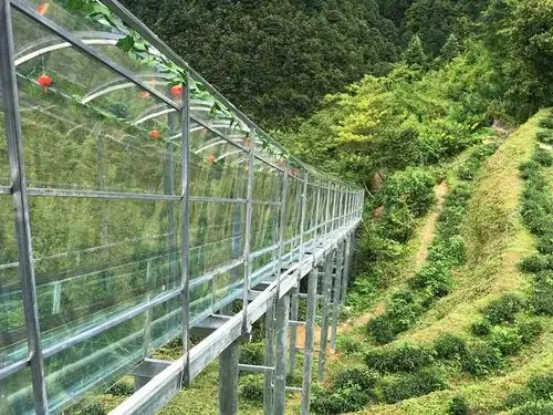 吓到腿软全市首座玻璃滑道即将对外开放太刺激了你敢约吗