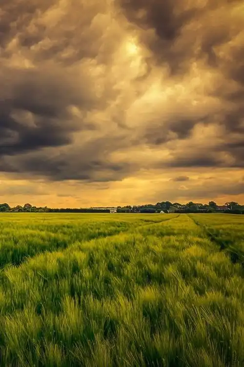 首页 自然与风景