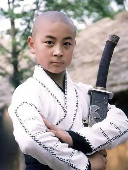 "顶流功夫童星"的唏嘘爱情和被雪藏之谜_释小龙_孩子_儿子