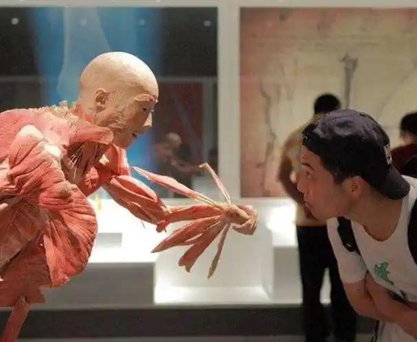 华西医科大学人体标本制作师每年处理50具遗体全靠捐献