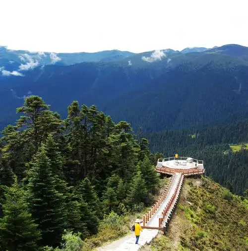 鲁朗林海观景台