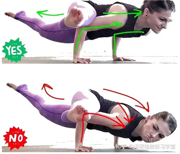 瑜伽解剖系列之斜方肌含体式指导收藏学习