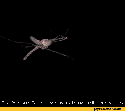 但你依然可以用激光灭蚊,洗澡的时候可以带上一支激光笔射蚊子