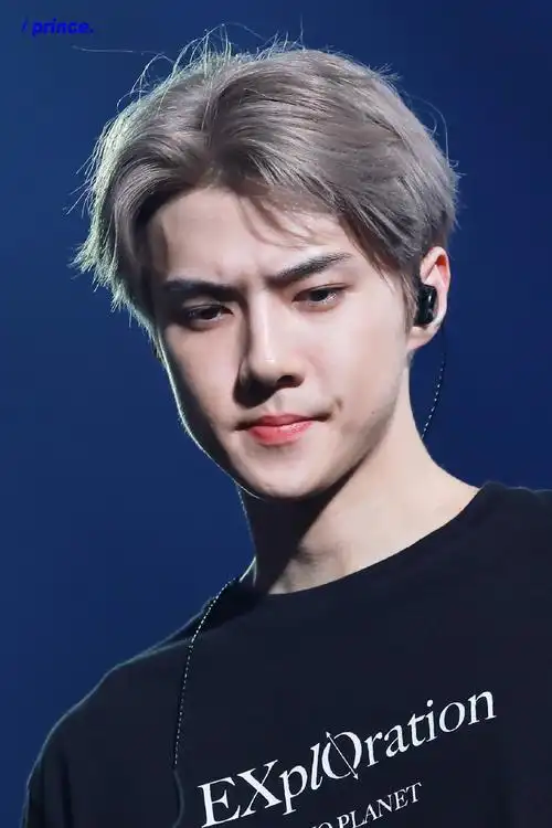 吴世勋代言小老板海苔##吴世勋taokaenoi代言人