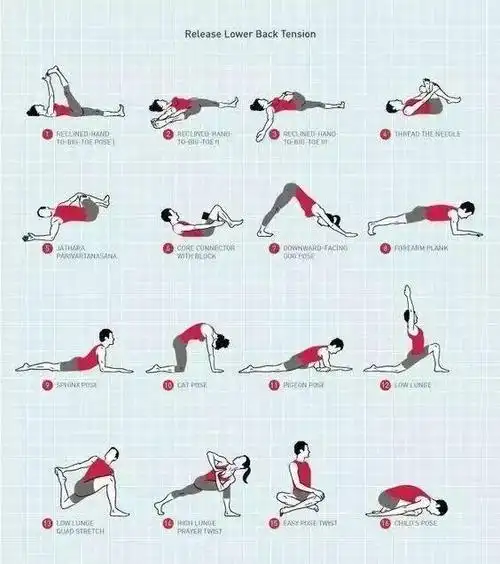 瑜伽体式的编排奥秘(教练留存)